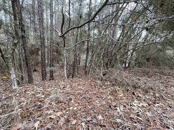 0.53 Acres of Residential Land for Sale in Brookeland, Texas