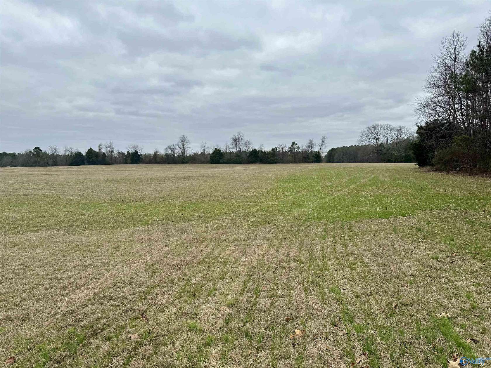 15.8 Acres of Land for Sale in Elkmont, Alabama