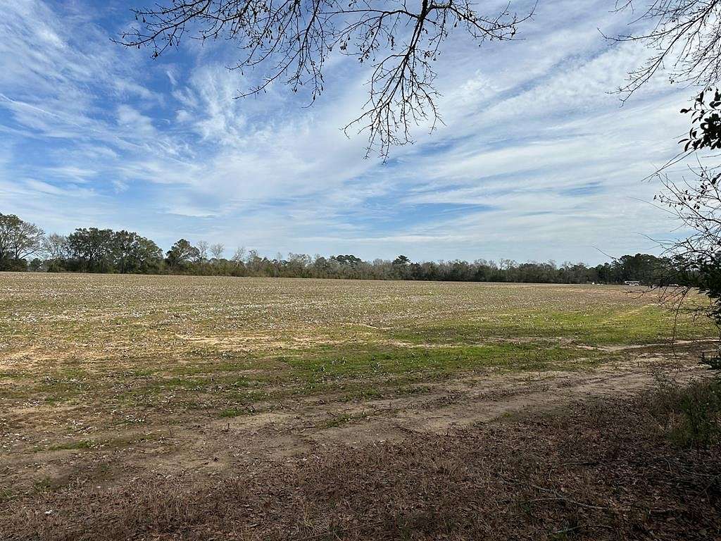 79 Acres of Land for Sale in Cairo, Georgia