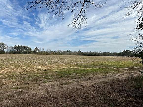 79 Acres of Land for Sale in Cairo, Georgia