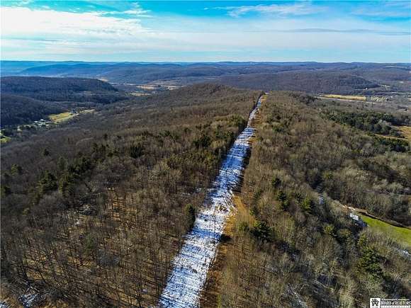 78.9 Acres of Recreational Land for Sale in Hinsdale, New York