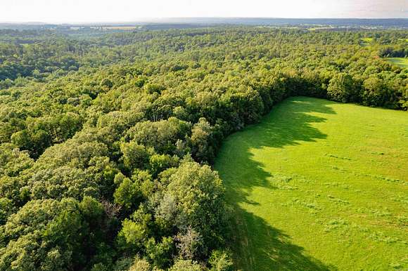 82.53 Acres of Land for Sale in Judsonia, Arkansas