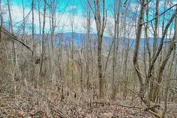 5.6 Acres of Agricultural Land for Sale in Hayesville, North Carolina