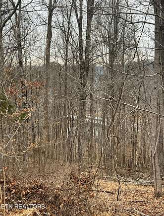 0.7 Acres of Residential Land for Sale in La Follette, Tennessee