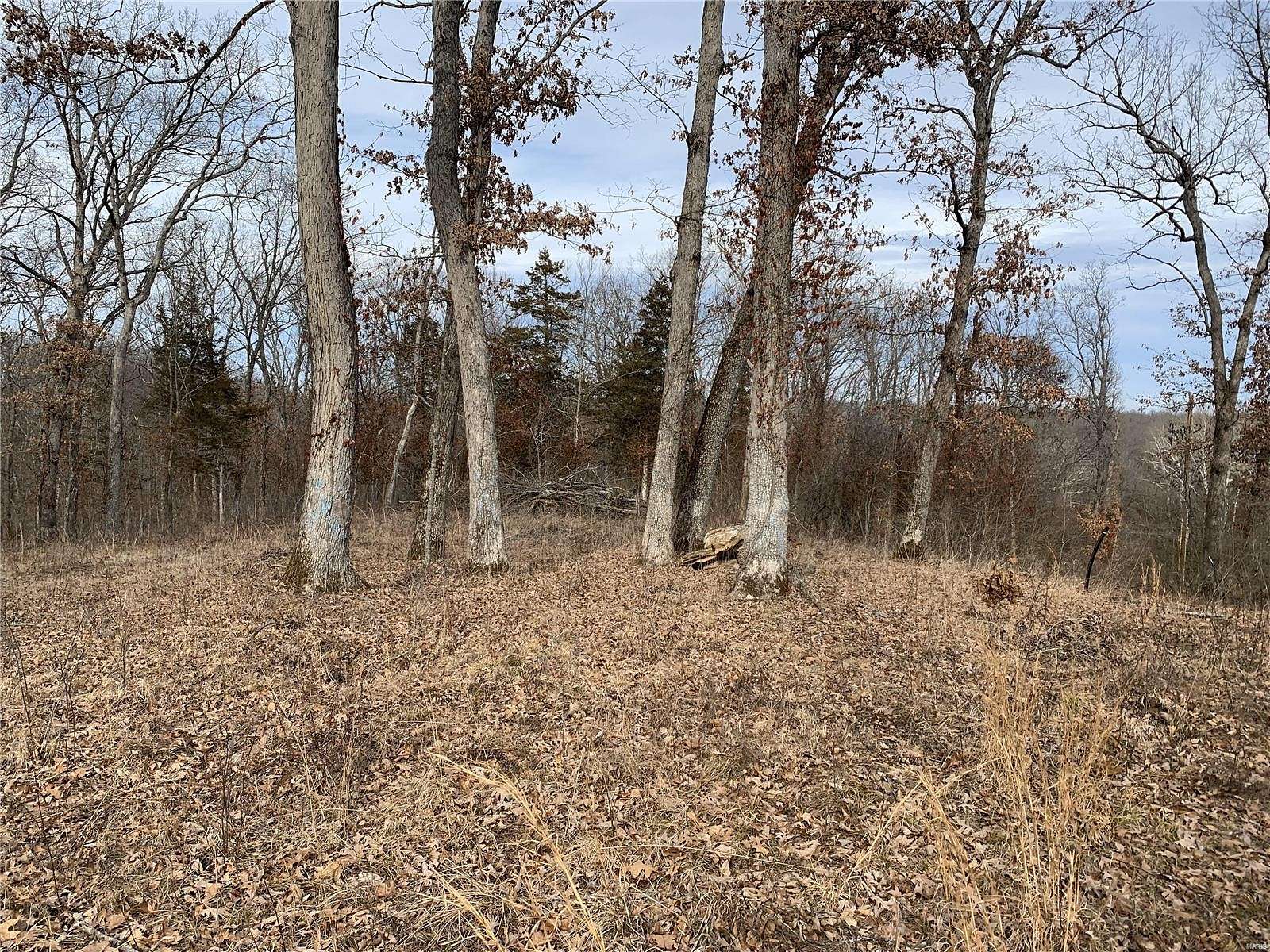 3 Acres of Residential Land for Sale in Wright City, Missouri