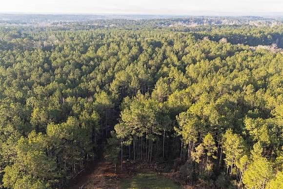 40 Acres of Recreational Land for Sale in McCall Creek, Mississippi