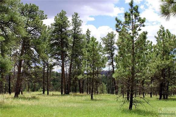 20.1 Acres of Recreational Land for Sale in Roundup, Montana