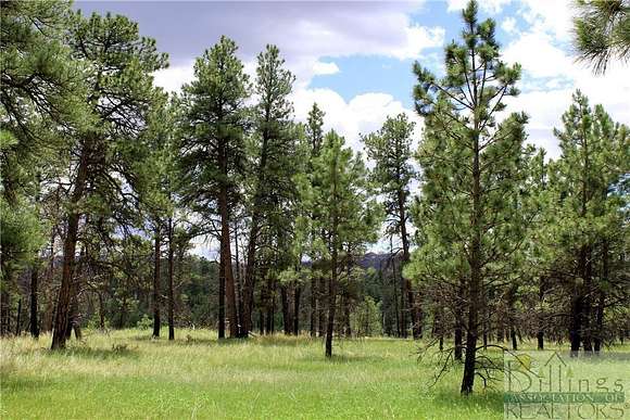 20.1 Acres of Recreational Land for Sale in Roundup, Montana