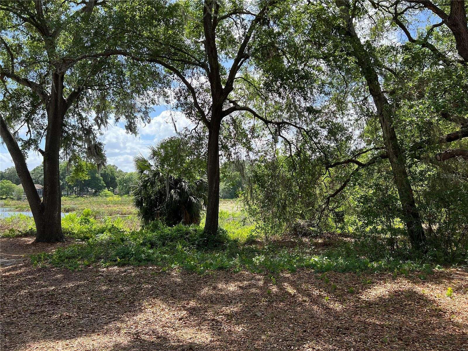 0.36 Acres of Residential Land for Sale in Leesburg, Florida