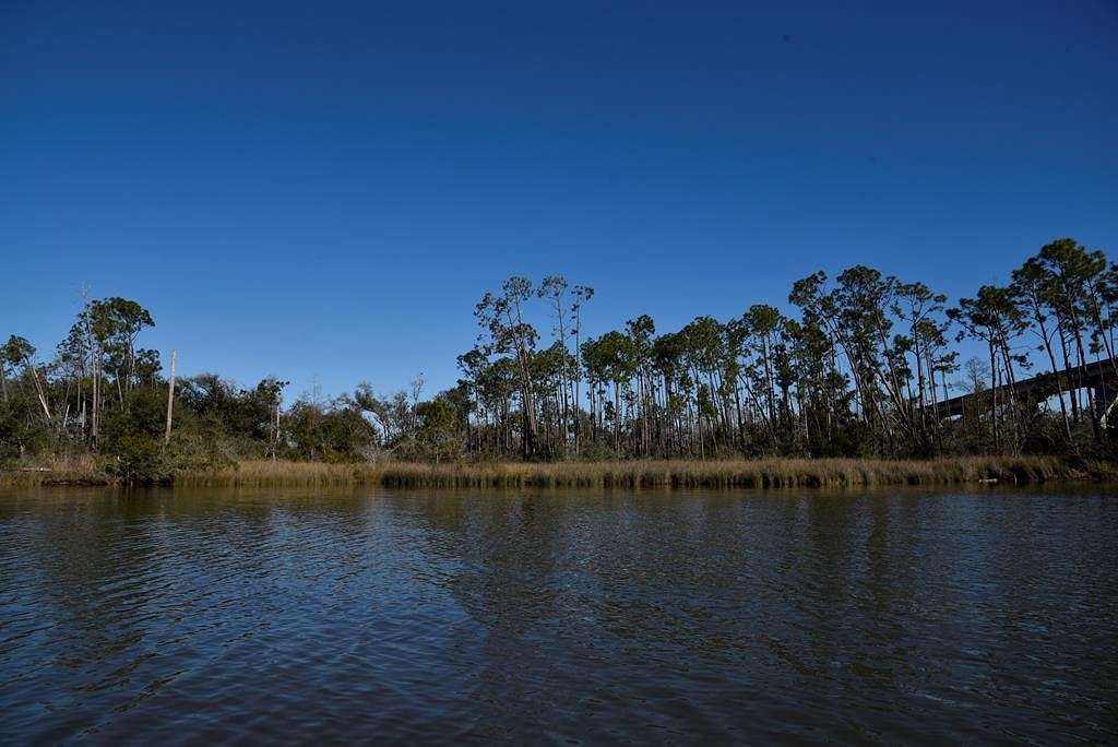 11.5 Acres of Land for Sale in Wewahitchka, Florida
