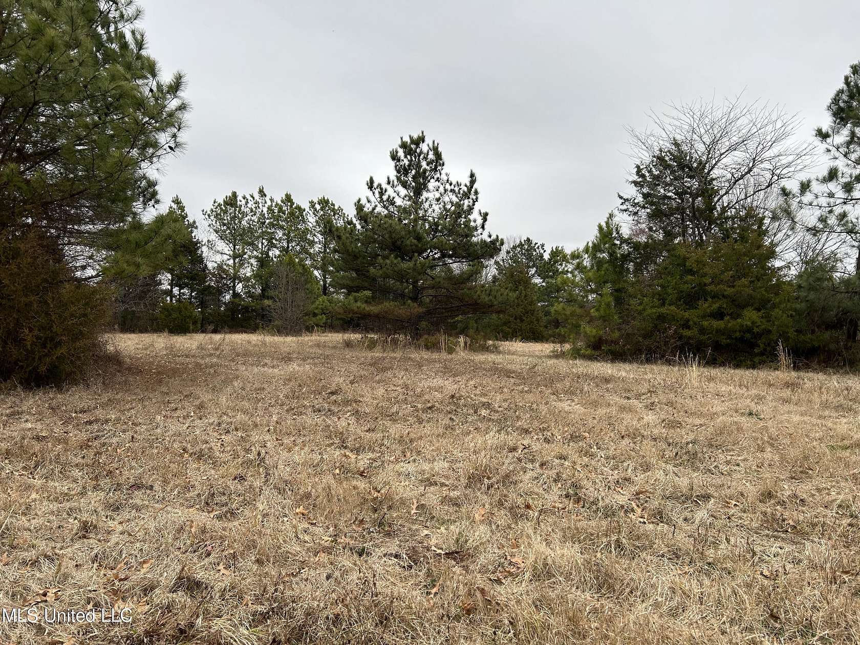 3 Acres of Residential Land for Sale in Olive Branch, Mississippi