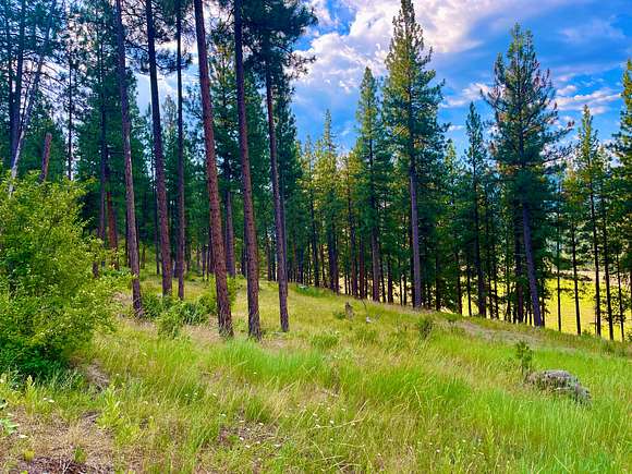 21.1 Acres of Recreational Land for Sale in Alberton, Montana