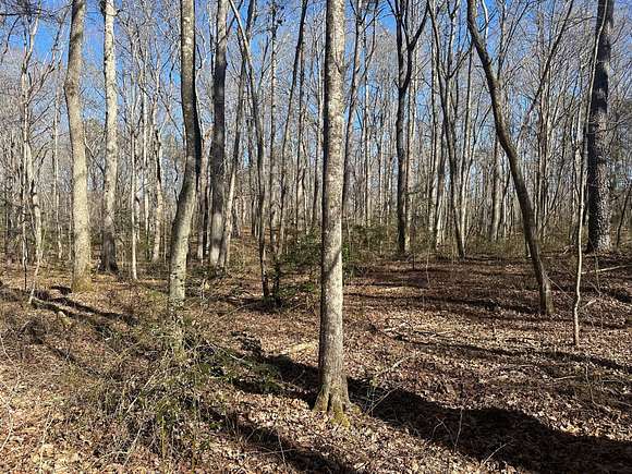 7.7 Acres of Residential Land for Sale in Tracy City, Tennessee