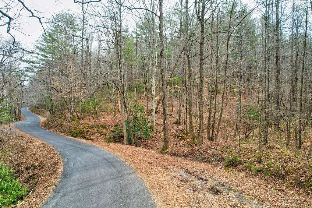 18.2 Acres of Agricultural Land for Sale in Ellijay, Georgia