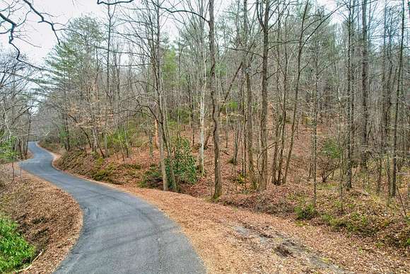 18.2 Acres of Agricultural Land for Sale in Ellijay, Georgia