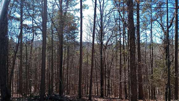 31.8 Acres of Land for Sale in Cove, Arkansas