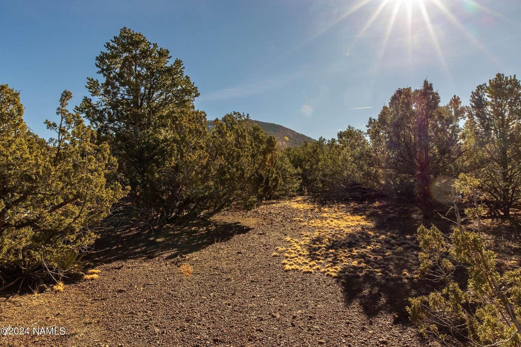 5 Acres of Residential Land for Sale in Williams, Arizona