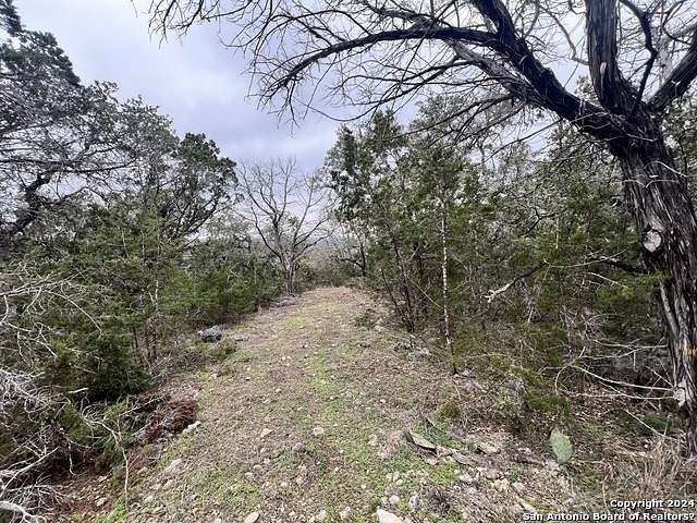 3 Acres of Residential Land for Sale in Spring Branch, Texas