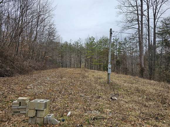 63 Acres of Agricultural Land for Sale in Livingston, Kentucky
