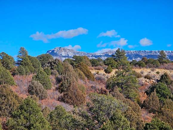 35.1 Acres of Recreational Land for Sale in Trinidad, Colorado