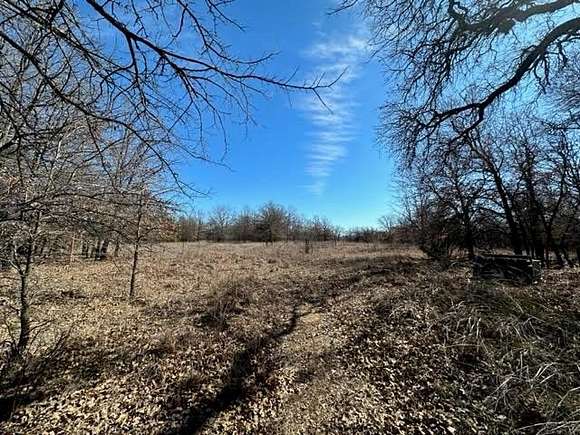 16.4 Acres of Land for Sale in Bridgeport, Texas