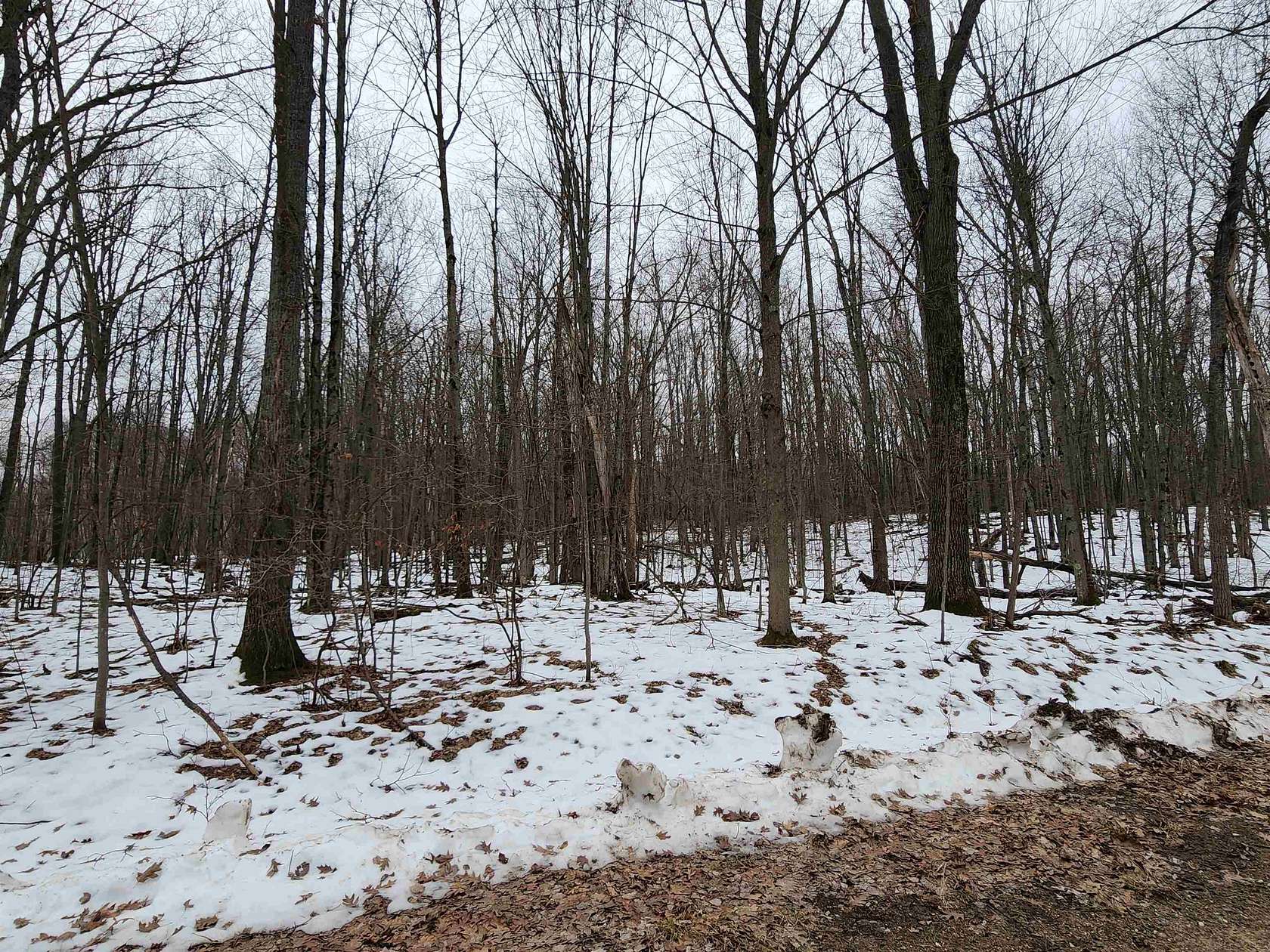 0.74 Acres of Residential Land for Sale in Farwell, Michigan