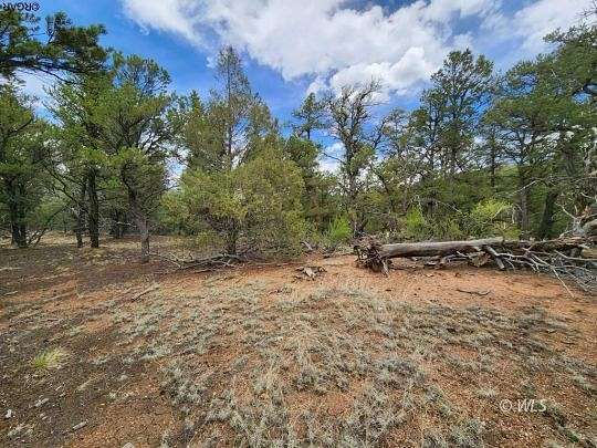 4.9 Acres of Residential Land for Sale in Cotopaxi, Colorado