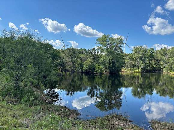 21 Acres of Recreational Land for Sale in Desdemona, Texas