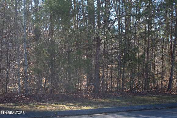 1 Acre of Residential Land for Sale in Decatur, Tennessee