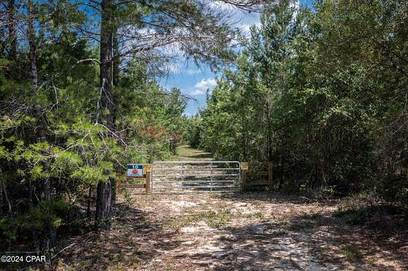 20 Acres of Land for Sale in Vernon, Florida