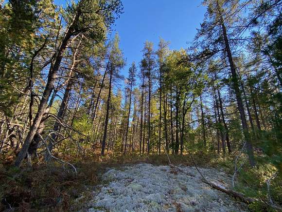 10.4 Acres of Recreational Land for Sale in Paradise, Michigan