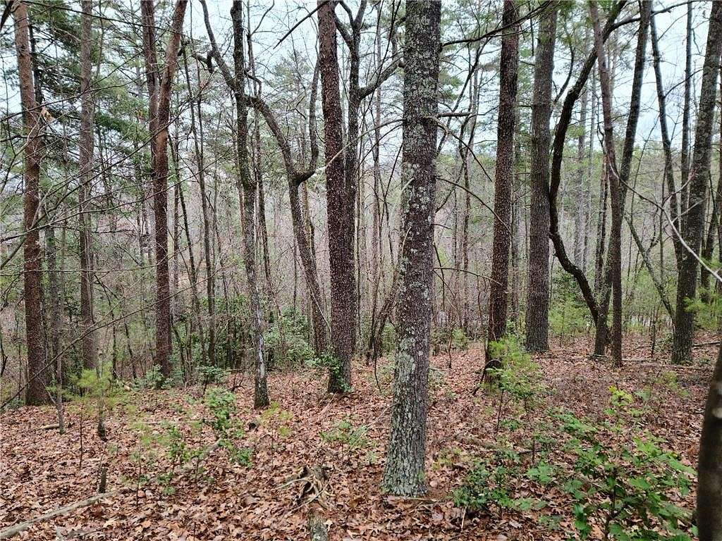 1.5 Acres of Residential Land for Sale in Big Canoe, Georgia