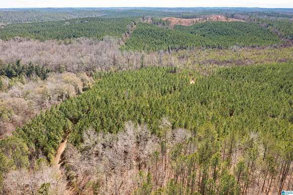 80 Acres of Land for Sale in Northport, Alabama