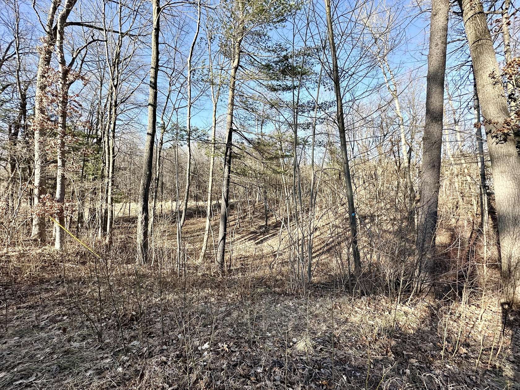 5 Acres of Residential Land for Sale in Newaygo, Michigan