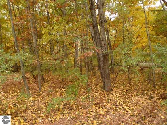 0.24 Acres of Residential Land for Sale in Lake Isabella, Michigan