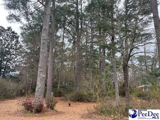 0.41 Acres of Residential Land for Sale in Hartsville, South Carolina