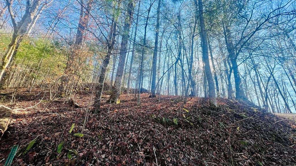 0.59 Acres of Residential Land for Sale in Blairsville, Georgia