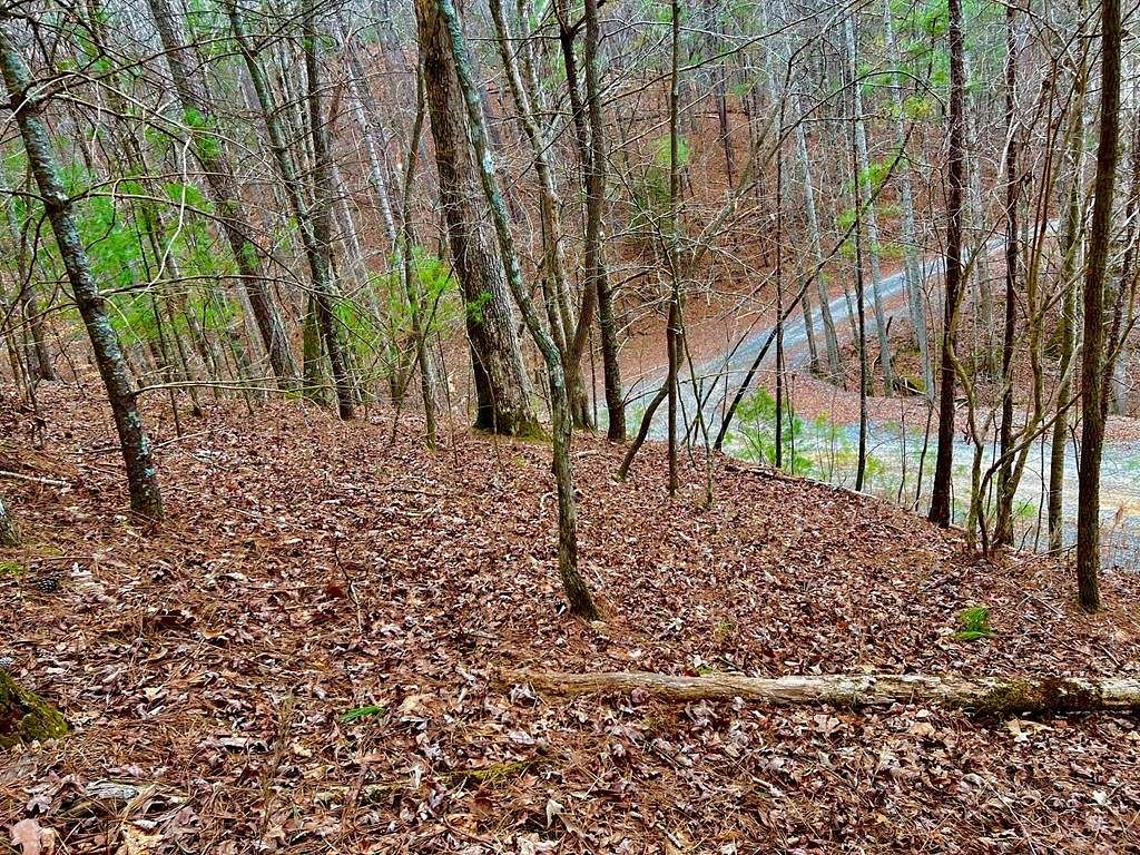 0.97 Acres of Residential Land for Sale in Ellijay, Georgia
