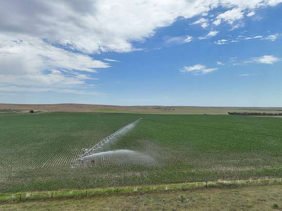 154.42 Acres of Agricultural Land for Sale in Elsie, Nebraska