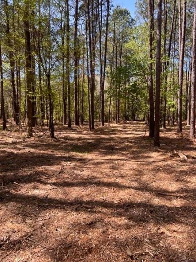 6.89 Acres of Land for Sale in Avinger, Texas