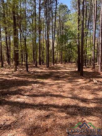 6.89 Acres of Land for Sale in Avinger, Texas