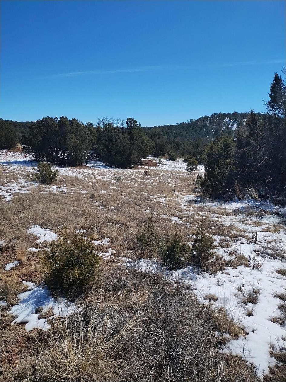 2.5 Acres of Residential Land for Sale in Sandia Park, New Mexico