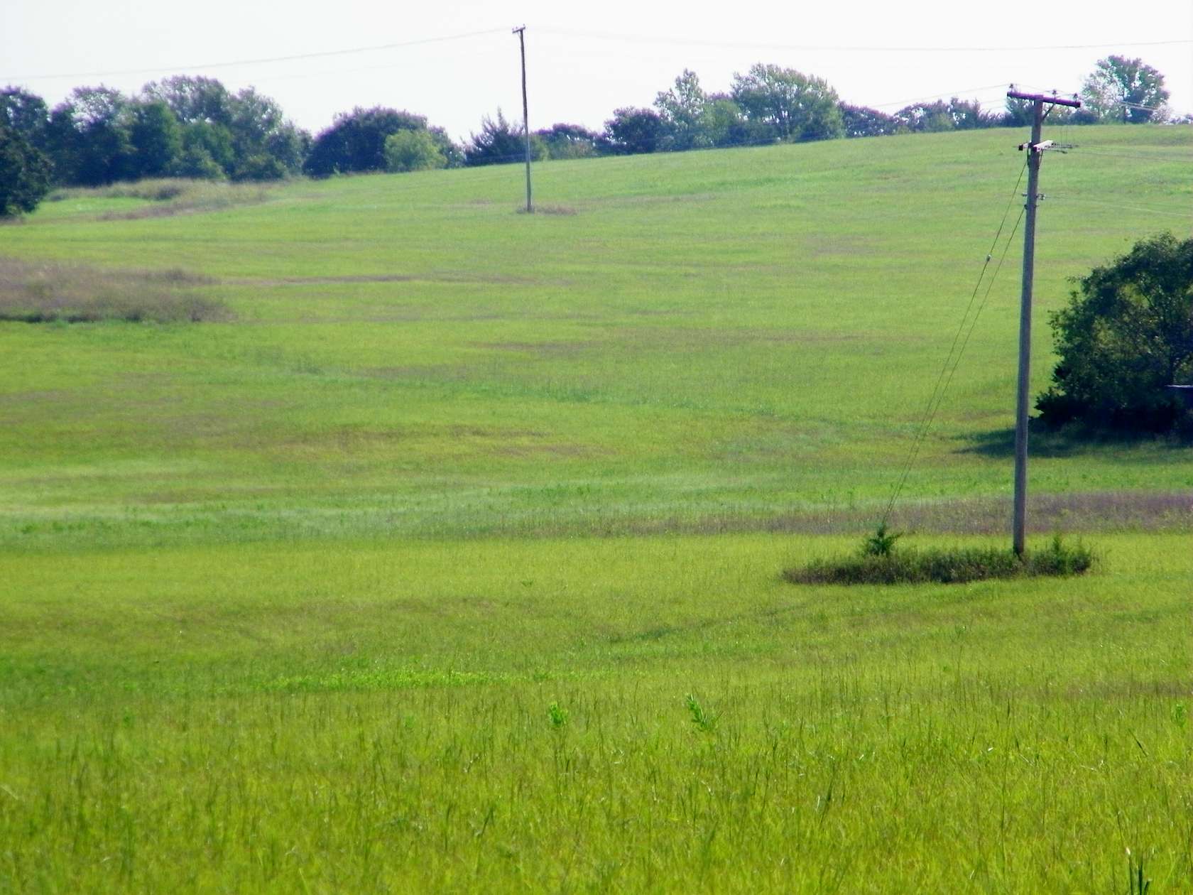 120 Acres of Recreational Land & Farm for Sale in Yale, Oklahoma