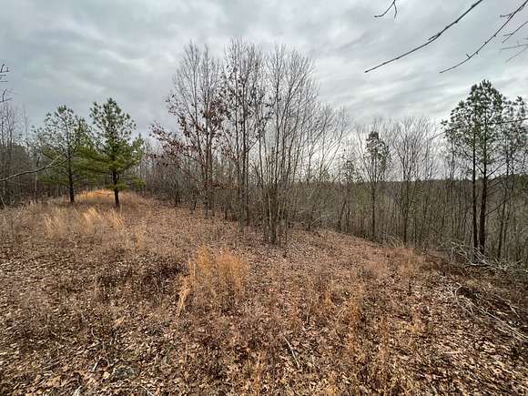 107 Acres of Recreational Land for Sale in Waterloo, Alabama