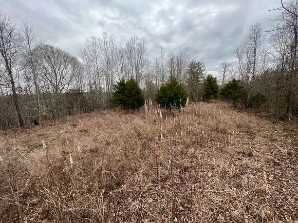 107 Acres of Recreational Land for Sale in Waterloo, Alabama