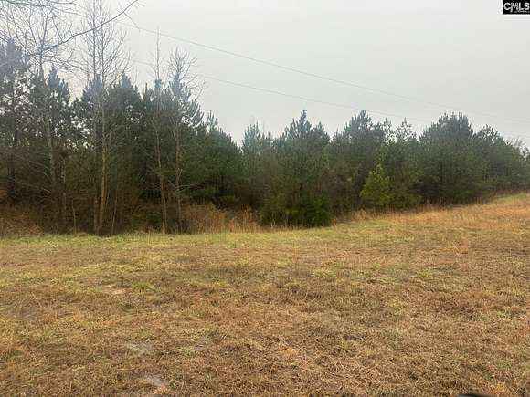 15 Acres of Land for Sale in Pomaria, South Carolina