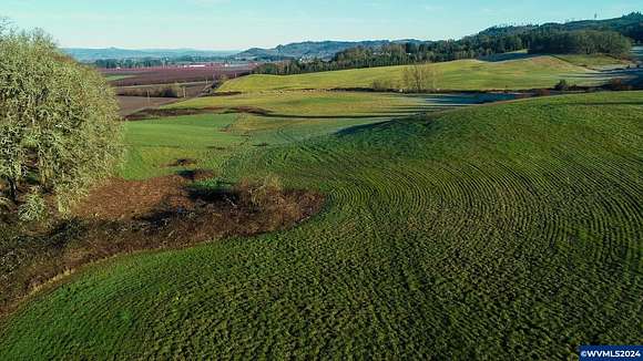 81.4 Acres of Agricultural Land for Sale in Amity, Oregon