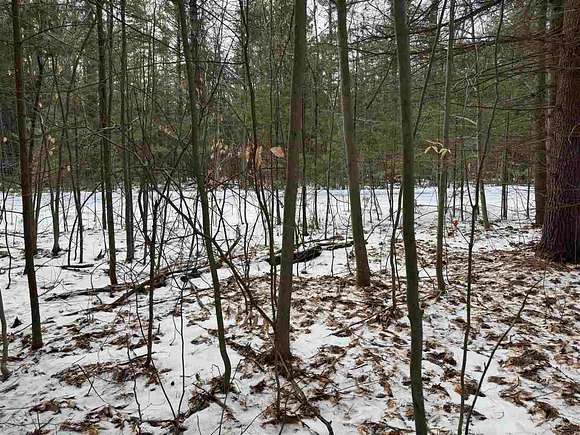 1.5 Acres of Residential Land for Sale in Alanson, Michigan