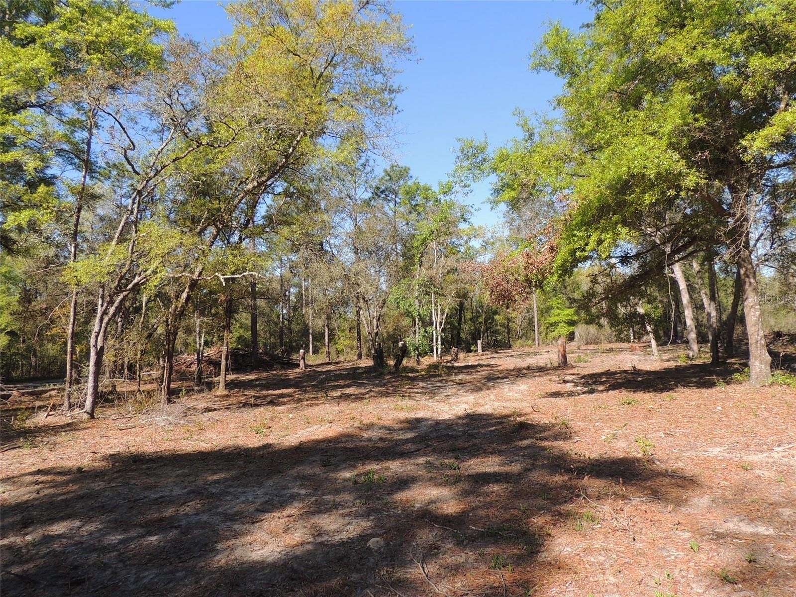1.3 Acres of Residential Land for Sale in Bronson, Florida
