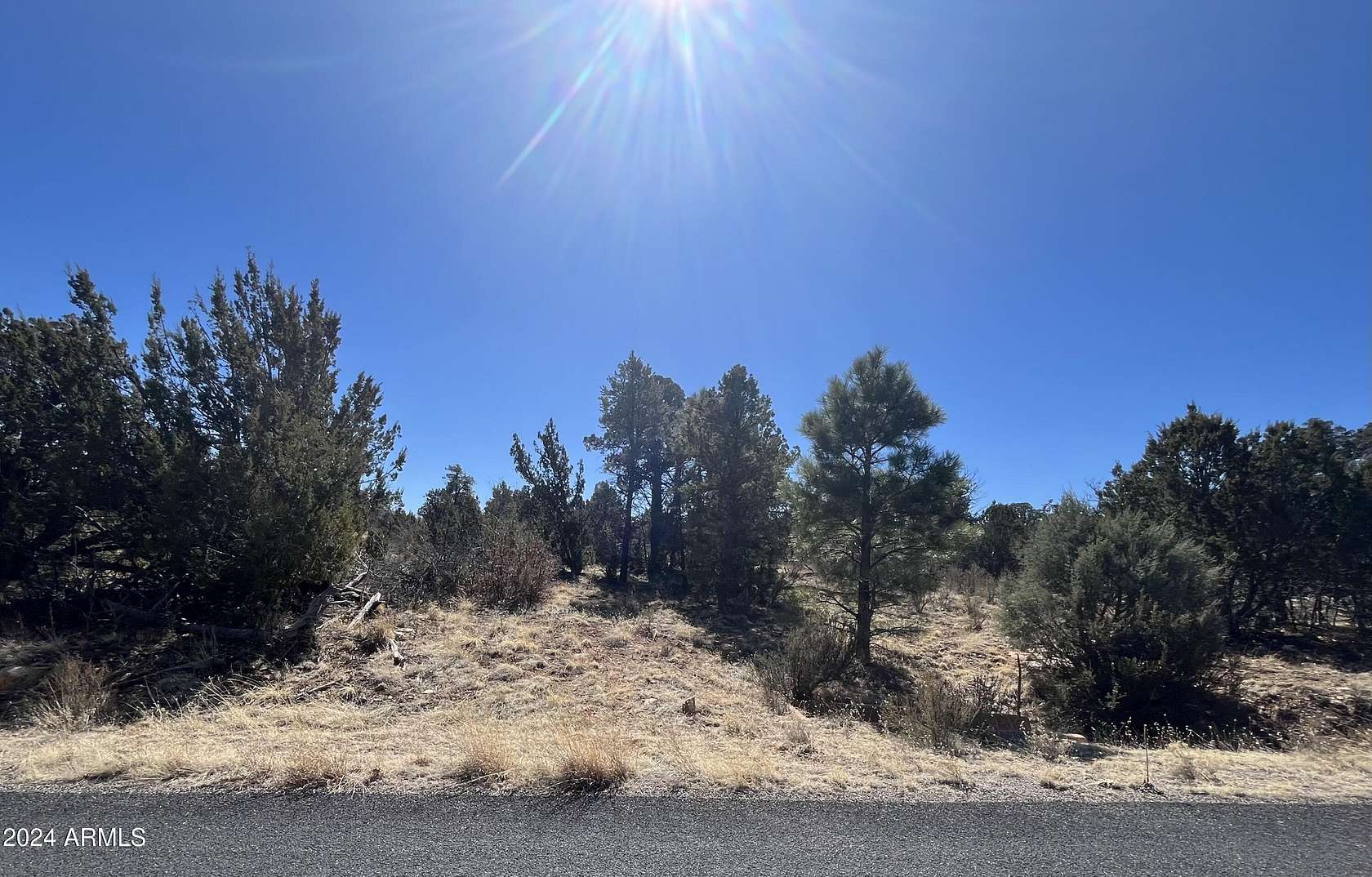 5 Acres of Land for Sale in Happy Jack, Arizona